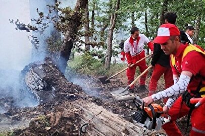 آتش دوباره به جان جنگلهای سوادکوه افتاد