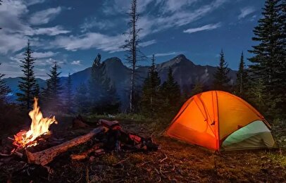 اقامت شبانه در جنگل‌ها ممنوع شد