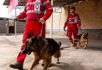 عملیات جست‌و‌جو و نجات یک شهروند با کمک سگ زنده‌یاب + فیلم