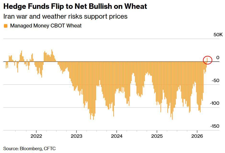 شوک بعدی که پس از نفت دنیا را تکان می‌دهد+ عکس