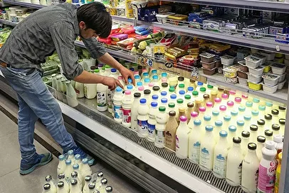 جزئیات تازه از تولید و توزیع لبنیات در کشور/ افزایش قیمت در ماه‌های آینده در راه است؟