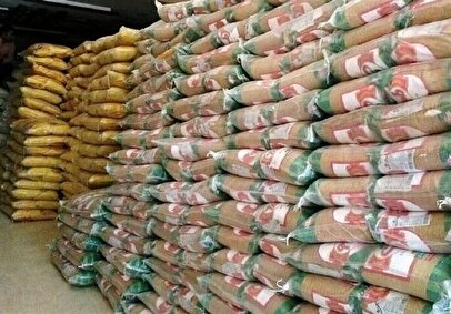 رکورد تاریخی قیمت برنج طی دو سال گذشته/ روند افزایش قیمت ادامه دارد؟