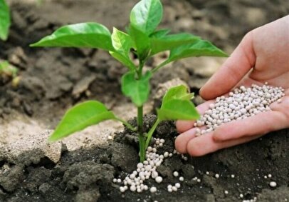 فاجعه بزرگ در انتظار مردم جهان / جهش شدید قیمت غذا در پیش است