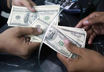 فروش ارز سهمیه‌ای در دو بانک آغاز شد