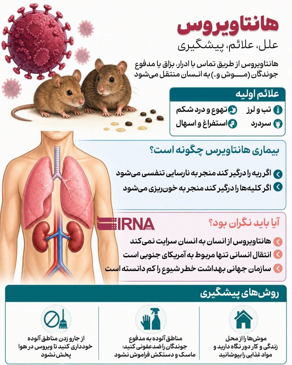 اینفوگرافیک/ علائم ابتلا به هانتاویروس چیست؟