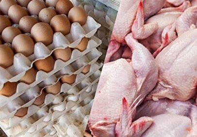 شوک قیمتی در بازار / جدیدترین قیمت مرغ، تخم مرغ و گوشت اعلام شد