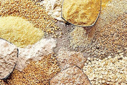 محدودیت واردات از طریق بنادر جنوبی کشور / اولین محموله نهاده دامی نیز از بنادر شمالی وارد کشور شده است