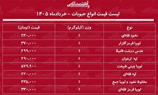 قیمت جدید انواع حبوبات ۱۴ خرداد ۱۴۰۵ / لوبیا چیتی کیلویی چند شد؟ + جدول