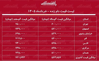 لیست قیمت دام زنده امروز ۱۵ خرداد ۱۴۰۵ / گوسفند زنده کیلویی چند شد؟ + جدول