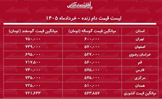 لیست قیمت دام زنده امروز ۱۵ خرداد ۱۴۰۵ / گوسفند زنده کیلویی چند شد؟ + جدول