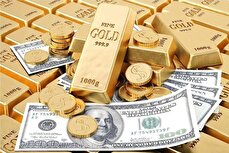 قیمت دلار، طلا و سکه امروز جمعه ۱۵ خرداد ۱۴۰۵ / دلار بازار آزاد امروز چند؟ + جدول