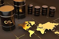 قیمت جهانی نفت امروز شنبه ۱۶ خرداد ۱۴۰۵ / قیمت‌ نفت کاهش یافت