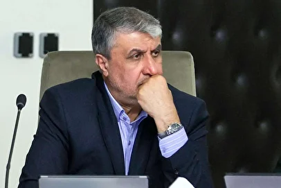 رئیس سازمان انرژی اتمی: دو واحد نیروگاه اتمی بوشهر اکنون در حال احداث هستند