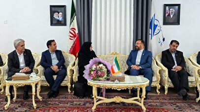 تسهیل ترخیص کالا در شرایط ویژه/ نان همچنان خارج از فهرست استاندارد اجباری