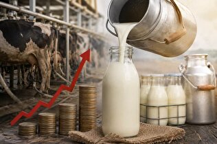 افت حاشیه سود تولیدکنندگان صنعت لبنیات؛ چرا قیمت لبنیات افزایش یافت؟