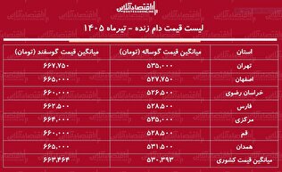 لیست قیمت دام زنده امروز ۱۲ تیر ۱۴۰۵ | گوساله زنده کیلویی چند شد؟ + جدول