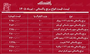 قیمت جدید انواع برنج پاکستانی ۹ تیر ۱۴۰۵ | برنج پاکستانی باکیفیت را چند بخریم؟ + جدول