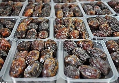 هشدار رئیس انجمن خرما درباره اثر قطعی برق بر تولید