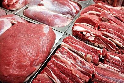قیمت واقعی گوشت قرمز از سوی واردکنندگان اعلام شد