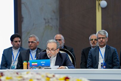 ایران بر اهمیت سازمان همکاری شانگهای تأکید کرد
