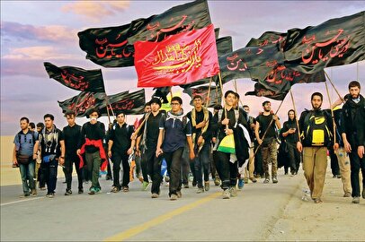 برنامه جدید سازمان غذا و دارو برای تأمین داروی زائران اربعین