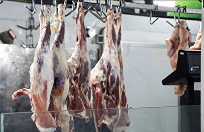 واکنش انجمن واردکنندگان به شایعه غیرحلال بودن گوشت وارداتی