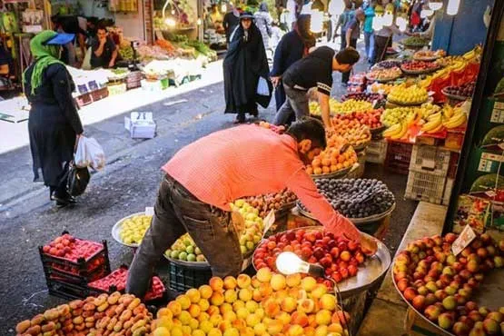 میوه ای که تا مقصد قیمتش ۵ برابر می‌شود!