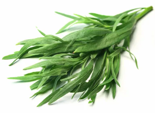 به جای نمک از این سبزی استفاده کنید!