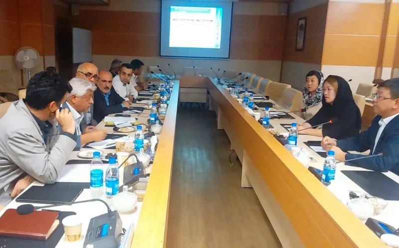 همکاری هاربین چین با ایران برای کشت برنج کیفی و کم‌آب بر