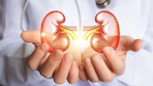 چگونه سلامت کلیه های خود را تضمین کنیم؟