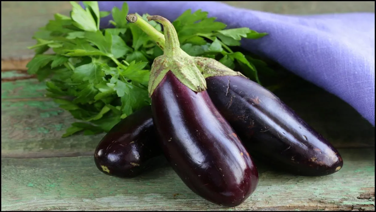 شگرد تشخیص بادمجان شیرین از ظاهر آن