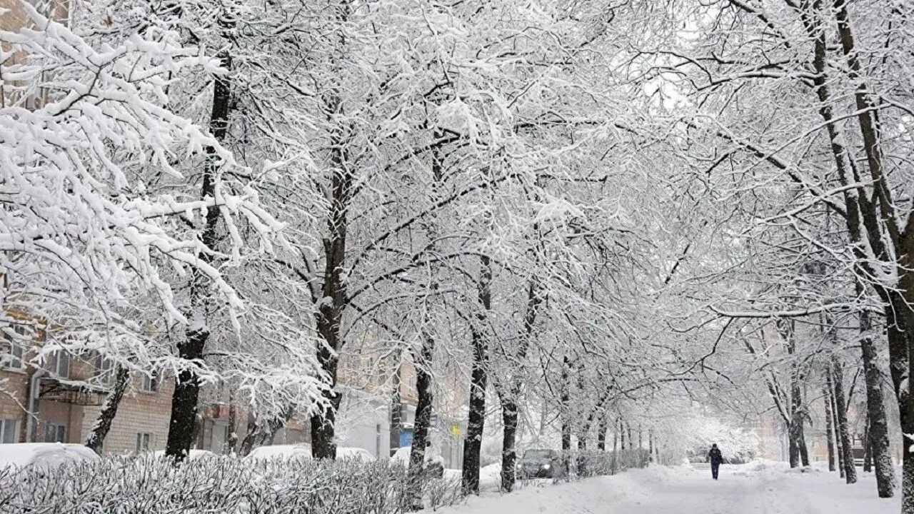 بارش برف بهاری در اردبیل + فیلم