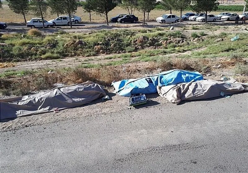 جان‌سپردن سالانه ۱۶هزار نفر در حوادث جاده‌ای