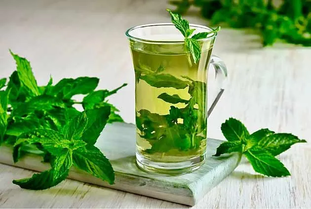 افراد چاق، با این روش عرق نعنا بخورند