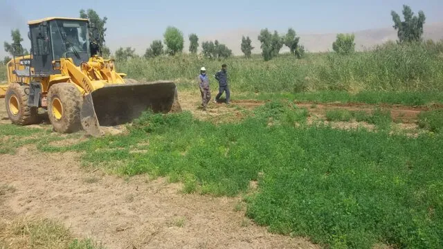 محصولات مزارع آبیاری‌ شده با فاضلاب امحا شد