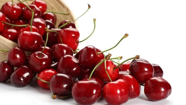 میوه‌هایی که چربی‌ها را می‌سوزانند