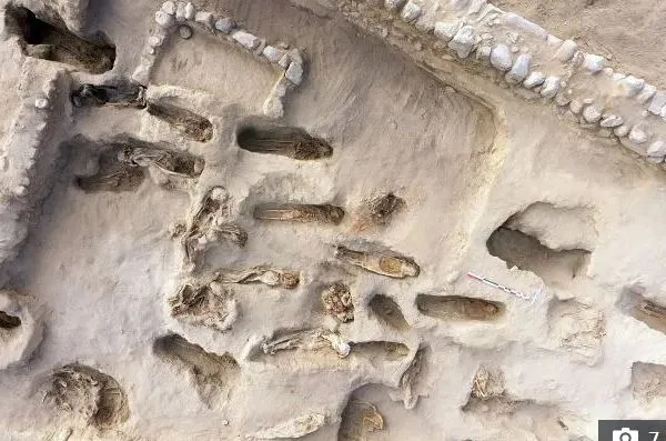 کشف اسکلت 227 کودک در پرو +فیلم
