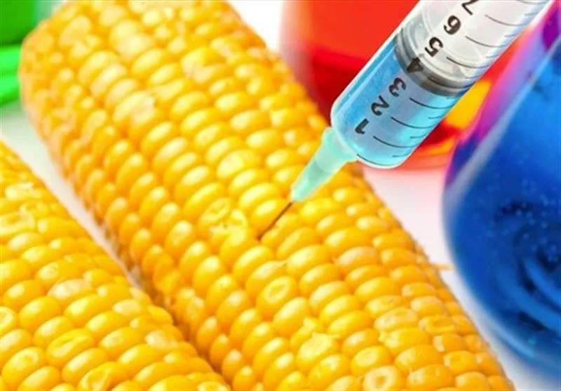 هیچ نوع بذر تراریخته‌ای به کشور وارد نمی‌‌شود