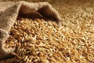 واردات جو آزاد است