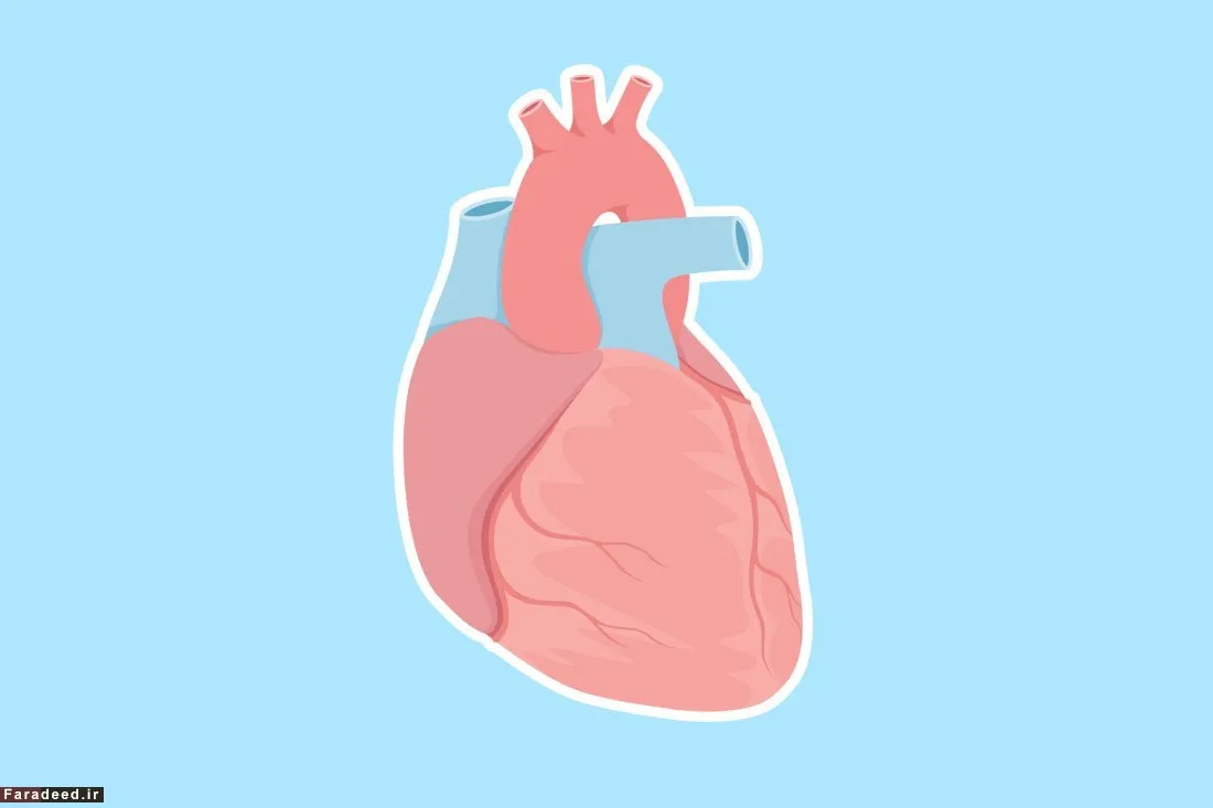 آیا شکست عشقی برای قلب ضرر دارد؟