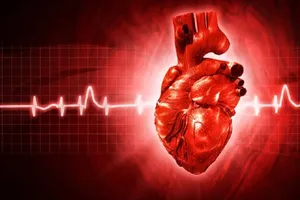 تپش قلب هنگام استراحت را جدی بگیرید / این بیماری‌ها می‌توانند عامل باشند
