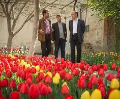 خانه‌ی رؤیایی در تبریز +عکس