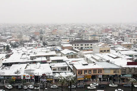 سرمای قطعی گاز به استخوان رسید