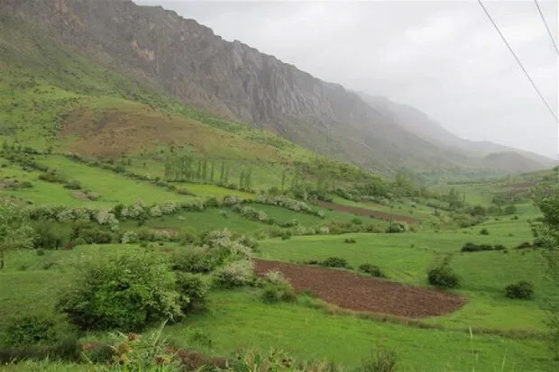 طرح ممیزی مراتع کشور امسال به اتمام می‌ رسد