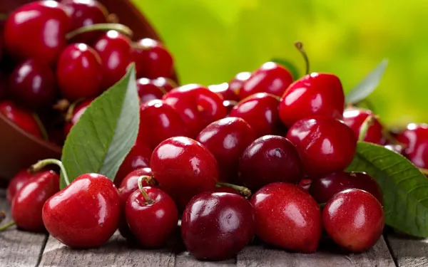چطور می‌شود از دور ریز میوه‌ها پول در‌آورد؟