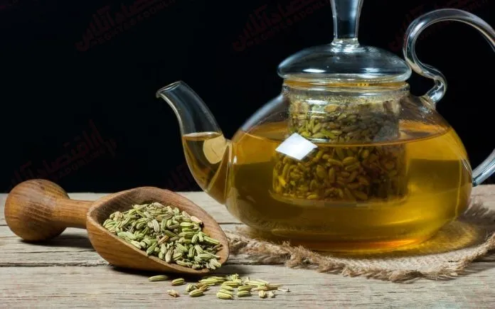 چرا باید چای رازیانه را در رژیم غذایی روزانه خود بگنجانید ؟