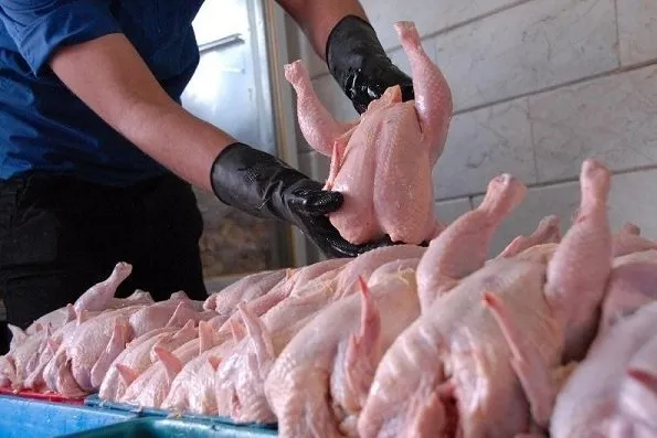 نرخ جدید مرغ و انواع ماهی در بازار