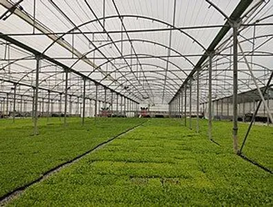 خط-تولید-با-200-میلیون