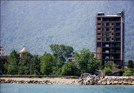 دریاخواران دست‌دردست جنگل‌خواران!+عکس