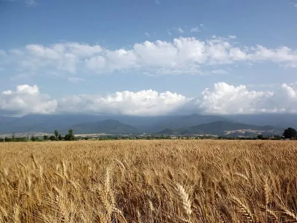 کشاورزان برای زمین‌های تهران سر و دست می‌شکنند